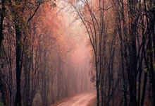 欧博官网：全运会成年组江苏天津河南都有夺冠希望！U20成沪鲁争霸.