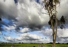 西甲联赛：贝迪斯以1比0不敌马德里竞技.