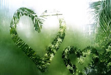 苏翊鸣将再冲击金牌！多项国际冰雪赛事将亮相北京人民日报客户端.