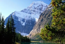 世杯泳赛狮城站再出世界纪录 马尔尚雷根勇夺冠.