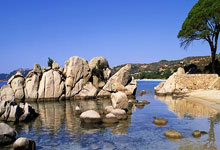 欧博官网：WTA1000印第安维尔斯站：王欣瑜晋级 袁悦出.